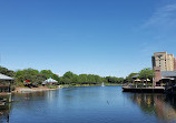 Washingtonian Paddle Boats