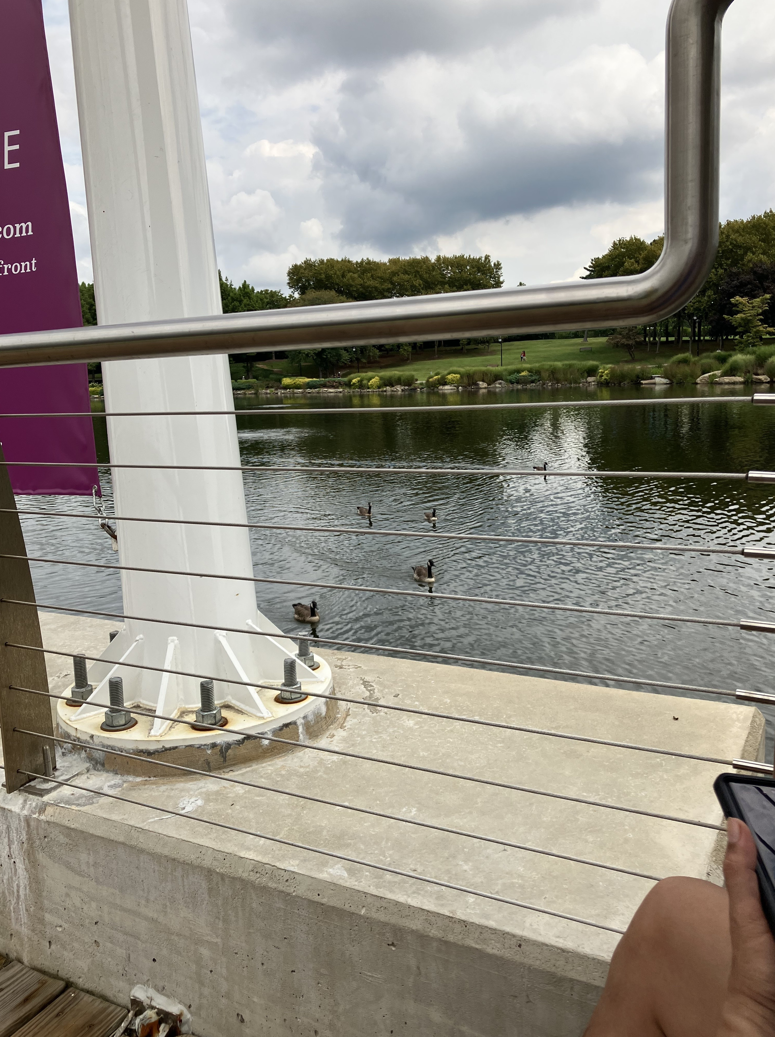 Washingtonian Paddle Boats