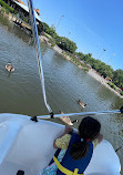 Washingtonian Paddle Boats