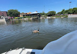 Washingtonian Paddle Boats