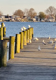 Merritt Point Park