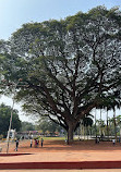 Basilica of Bom Jesus