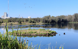 Parque Olímpico de Sydney