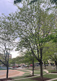 Reston Town Square Park