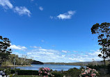 Port Arthur Lavender