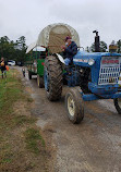 Hanover Vegetable Farm