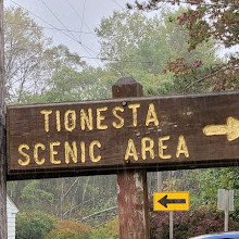 Allegheny National Forest