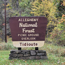 Allegheny National Forest