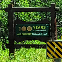 Allegheny National Forest