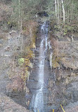 Allegheny National Forest