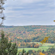 Allegheny National Forest