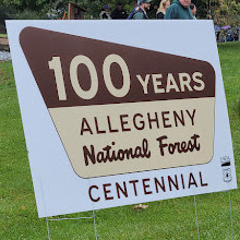 Allegheny National Forest