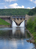 Allegheny National Forest