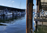 Stimson Marina