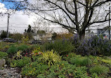 Center for Urban Horticulture