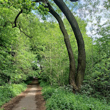 Bulwell Hall Park