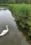 Bulwell Hall Park