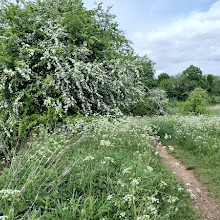 Bulwell Hall Park