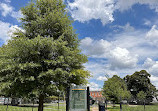 Carroll Park Skate Park