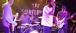 The Sunflower Lounge