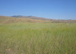 Fort Boise Park