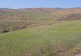 Fort Boise Park