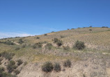 Fort Boise Park