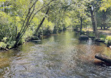 Connetquot River State Park Preserve