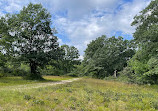 Connetquot River State Park Preserve