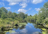 Connetquot River State Park Preserve