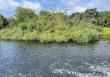 Connetquot River State Park Preserve