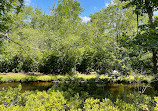 Connetquot River State Park Preserve