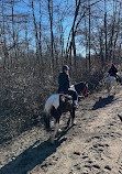 Connetquot River State Park Preserve