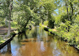 Connetquot River State Park Preserve