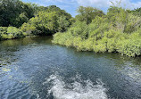 Connetquot River State Park Preserve