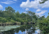 Connetquot River State Park Preserve