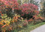 Betty Sutherland Trail Park