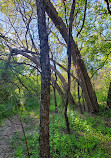 Betty Sutherland Trail Park