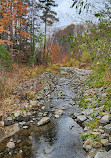 Wilket Creek Recreational Trail