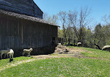 Black Creek Pioneer Village