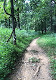 Brumley Nature Preserve