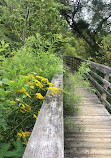 Brumley Nature Preserve