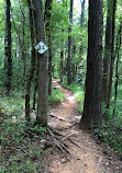 Brumley Nature Preserve