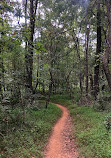 Brumley Nature Preserve