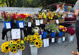 Broad Ripple Farmers Market