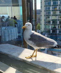 Hôtel Place Taksim