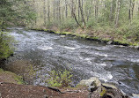 Groton Town Forest