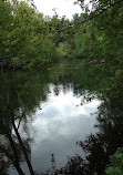 Groton Town Forest