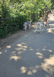 Shirlington Dog Park