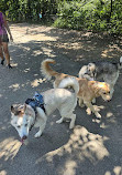 Shirlington Dog Park